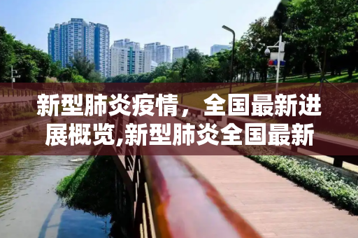 新型肺炎疫情，全国最新进展概览,新型肺炎全国最新进展