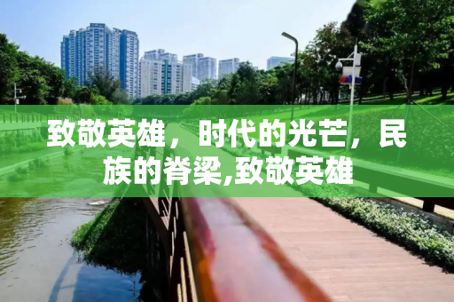 致敬英雄，时代的光芒，民族的脊梁,致敬英雄