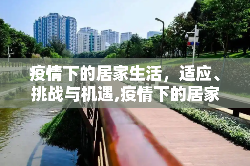 疫情下的居家生活，适应、挑战与机遇,疫情下的居家生活