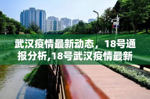 武汉疫情最新动态，18号通报分析,18号武汉疫情最新通报