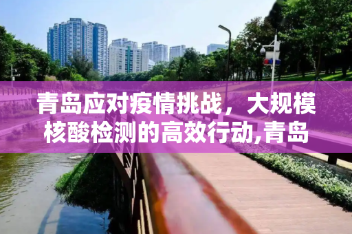 青岛应对疫情挑战，大规模核酸检测的高效行动,青岛大规模核酸检测