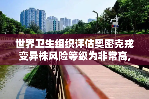 世界卫生组织评估奥密克戎变异株风险等级为非常高,世卫:奥密克戎风险等级为非常