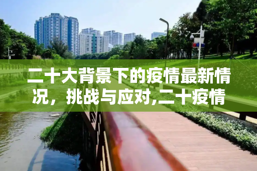 二十大背景下的疫情最新情况，挑战与应对,二十疫情最新情况