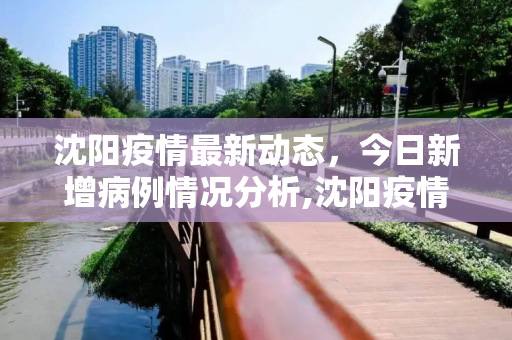 沈阳疫情最新动态，今日新增病例情况分析,沈阳疫情最新消息今天新增病例