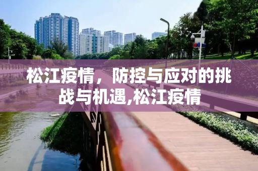 松江疫情，防控与应对的挑战与机遇,松江疫情