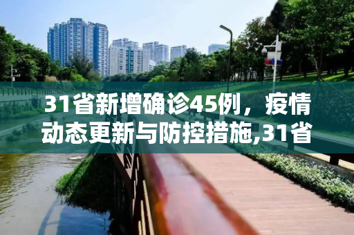 31省新增确诊45例，疫情动态更新与防控措施,31省新增确诊45例