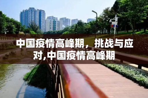 中国疫情高峰期，挑战与应对,中国疫情高峰期