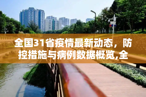 全国31省疫情最新动态，防控措施与病例数据概览,全国31省疫情最新消息