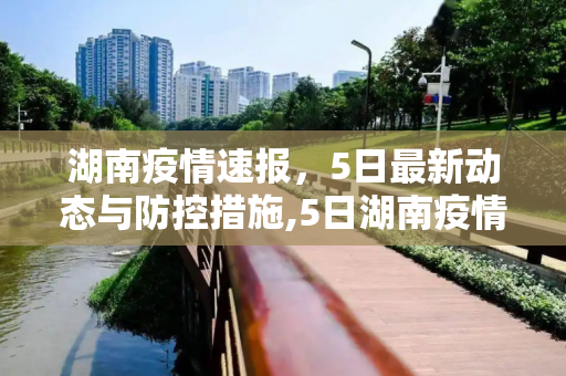 湖南疫情速报，5日最新动态与防控措施,5日湖南疫情速报