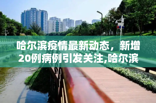 哈尔滨疫情最新动态，新增20例病例引发关注,哈尔滨新增20例