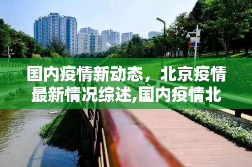 国内疫情新动态，北京疫情最新情况综述,国内疫情北京最新消息