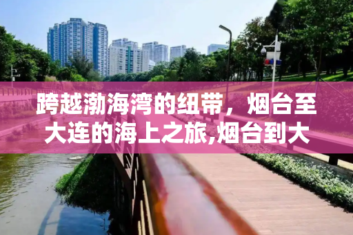 跨越渤海湾的纽带，烟台至大连的海上之旅,烟台到大连船