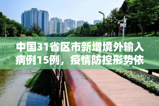 中国31省区市新增境外输入病例15例，疫情防控形势依然严峻,31省区市新增境外输入15例