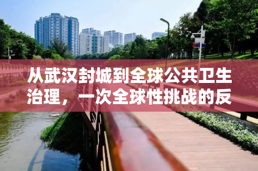 从武汉封城到全球公共卫生治理，一次全球性挑战的反思与启示,武汉封城至全球公共卫生治理