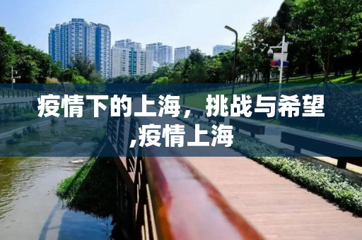 疫情下的上海，挑战与希望,疫情上海