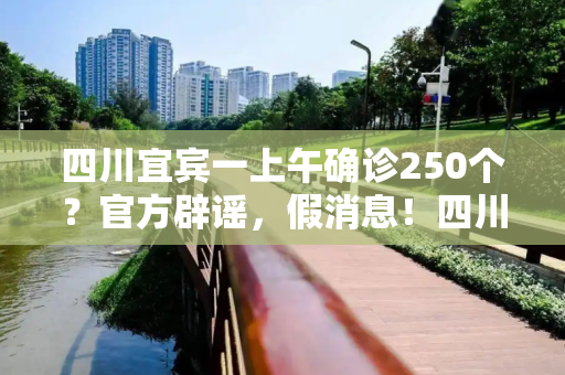 四川宜宾一上午确诊250个？官方辟谣，假消息！四川宜宾一上午确诊250个？辟谣