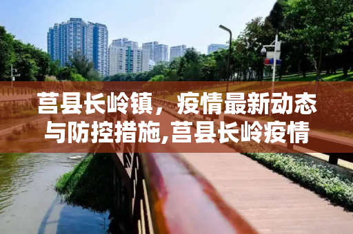 莒县长岭镇，疫情最新动态与防控措施,莒县长岭疫情最新消
