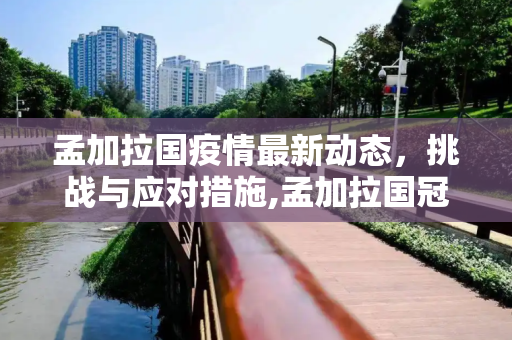 孟加拉国疫情最新动态，挑战与应对措施,孟加拉国冠疫情最新消息