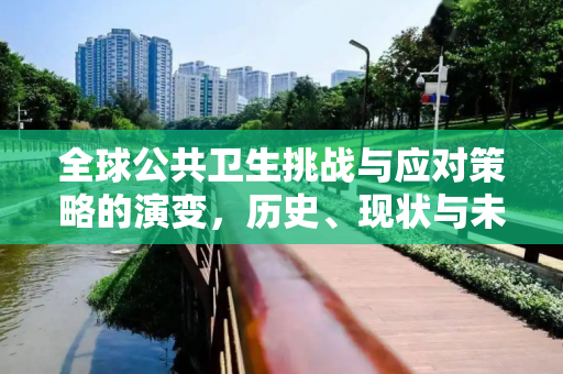 全球公共卫生挑战与应对策略的演变，历史、现状与未来,全球公共卫生挑战与应对策略的演变