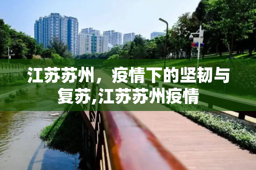 江苏苏州，疫情下的坚韧与复苏,江苏苏州疫情