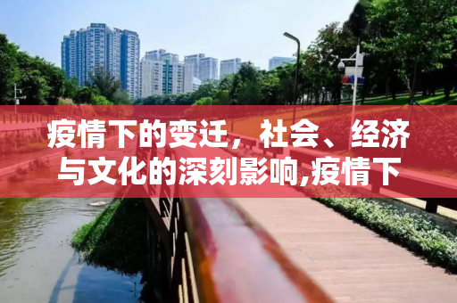 疫情下的变迁，社会、经济与文化的深刻影响,疫情下的变迁