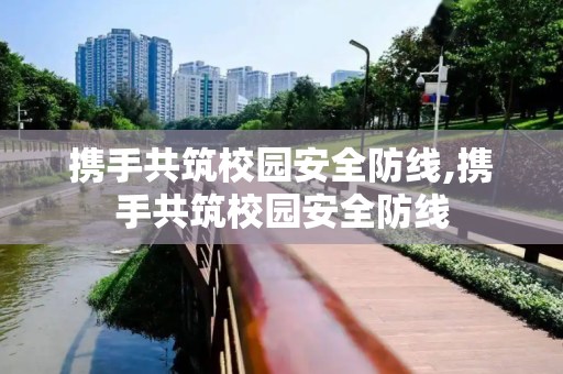 携手共筑校园安全防线,携手共筑校园安全防线