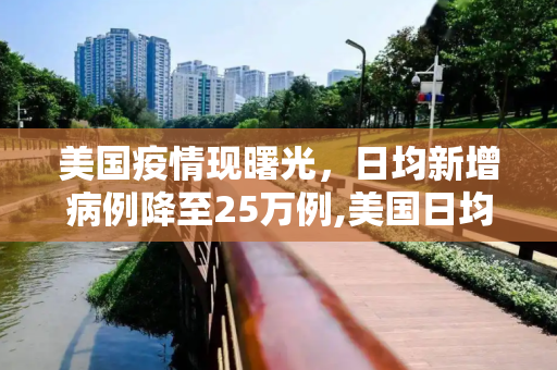 美国疫情现曙光，日均新增病例降至25万例,美国日均新增病例降至25万例