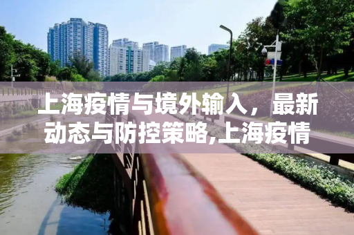 上海疫情与境外输入，最新动态与防控策略,上海疫情境外最新情况