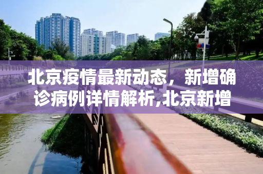 北京疫情最新动态，新增确诊病例详情解析,北京新增确诊详情