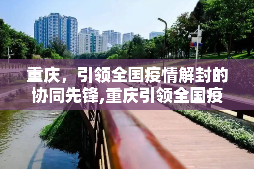 重庆，引领全国疫情解封的协同先锋,重庆引领全国疫情解封协同