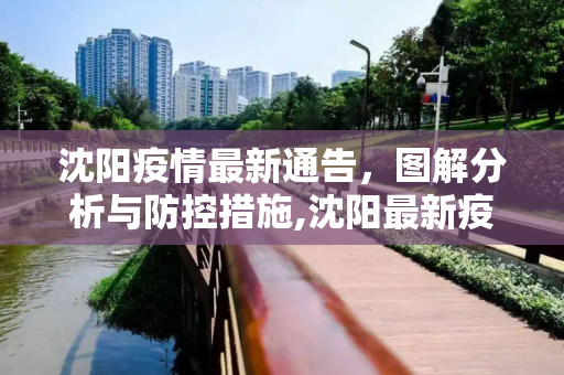 沈阳疫情最新通告，图解分析与防控措施,沈阳最新疫情发布通告图