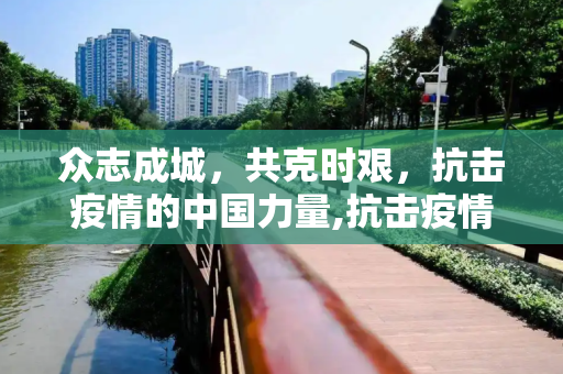 众志成城，共克时艰，抗击疫情的中国力量,抗击疫情