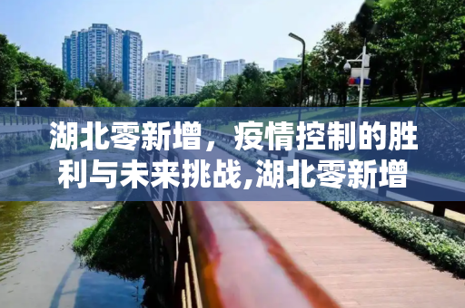 湖北零新增，疫情控制的胜利与未来挑战,湖北零新增