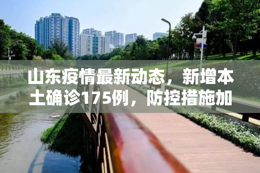 山东疫情最新动态，新增本土确诊175例，防控措施加强,山东增本土确诊175例