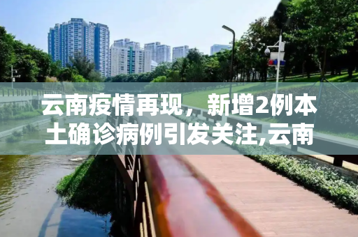 云南疫情再现，新增2例本土确诊病例引发关注,云南新增2例本土确诊病例