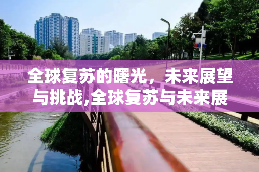 全球复苏的曙光，未来展望与挑战,全球复苏与未来展望