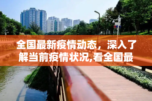 全国最新疫情动态，深入了解当前疫情状况,看全国最新疫情:全国最新疫情情况