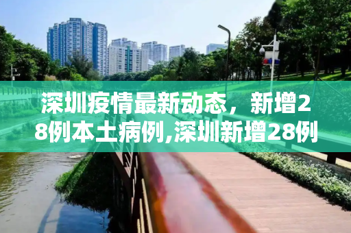 深圳疫情最新动态，新增28例本土病例,深圳新增28例本土病例