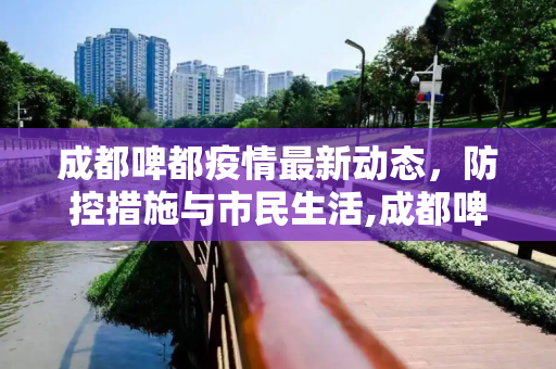 成都啤都疫情最新动态，防控措施与市民生活,成都啤都疫情最新消息