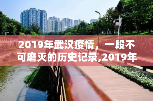 2019年武汉疫情，一段不可磨灭的历史记录,2019年武汉疫情真实记录