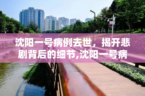 沈阳一号病例去世，揭开悲剧背后的细节,沈阳一号病例去世披露细节