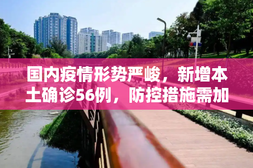 国内疫情形势严峻，新增本土确诊56例，防控措施需加强,新增本土确诊56例