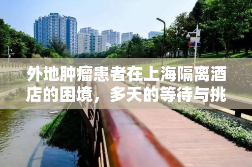 外地肿瘤患者在上海隔离酒店的困境，多天的等待与挑战,包含外地肿瘤患者被困上海隔离酒店多天的词条