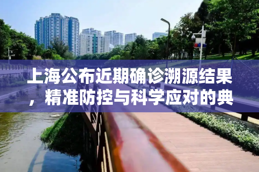 上海公布近期确诊溯源结果，精准防控与科学应对的典范,上海公布近期确诊溯源结果