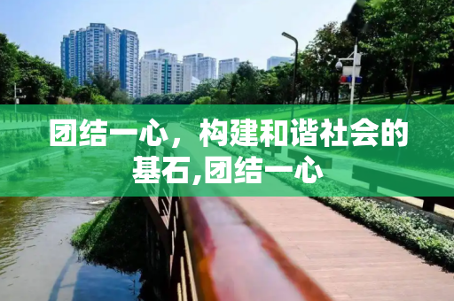 团结一心，构建和谐社会的基石,团结一心
