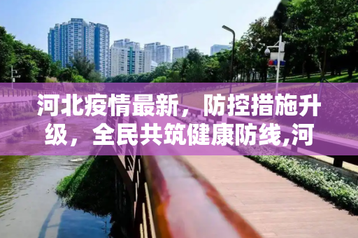 河北疫情最新，防控措施升级，全民共筑健康防线,河北疫情最新