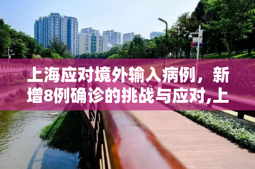 上海应对境外输入病例，新增8例确诊的挑战与应对,上海新增境外输入确诊8例