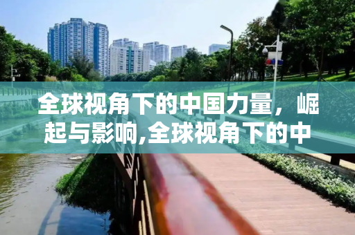 全球视角下的中国力量，崛起与影响,全球视角下的中国力量