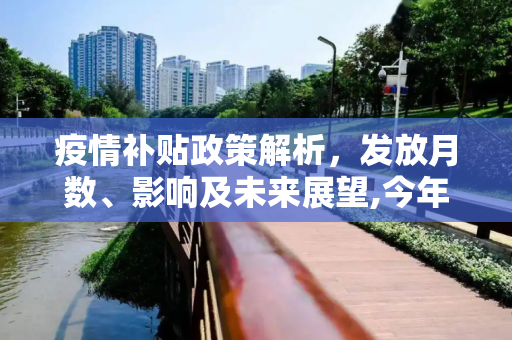 疫情补贴政策解析，发放月数、影响及未来展望,今年疫情补贴发放月数与政策解析及影响探讨