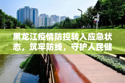 黑龙江疫情防控转入应急状态，筑牢防线，守护人民健康,黑龙江疫情防控转入应急状态